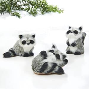 'Raccoon, 5-7cm, '3 ASS.