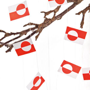 'Greenlandian flag garland - '2/BAG